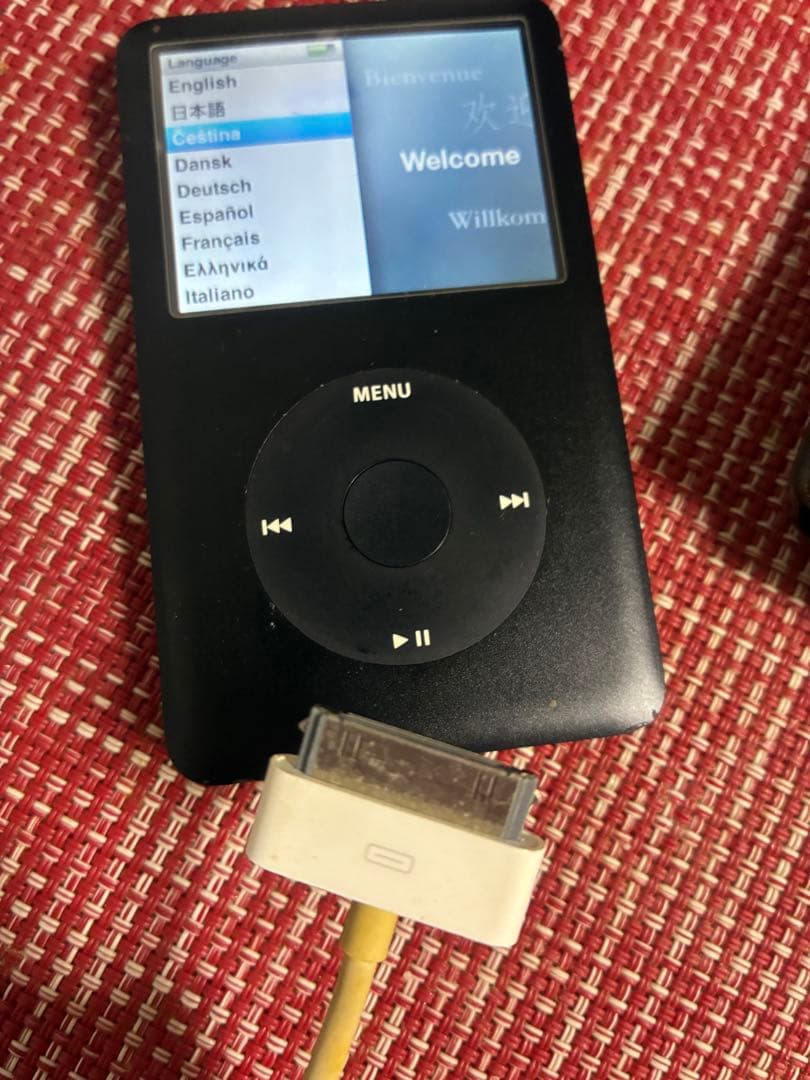 iPod classic 80GB（A1238） ルイヴィトンケース付き