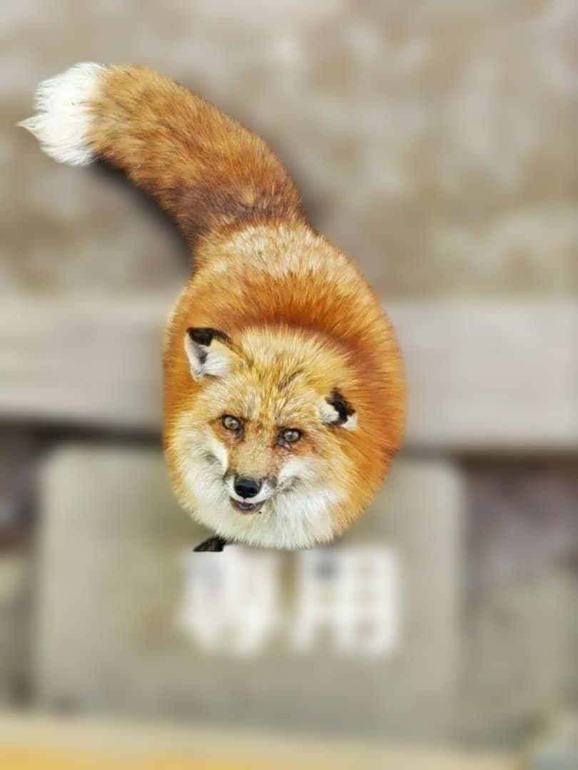 じゅん　２月分