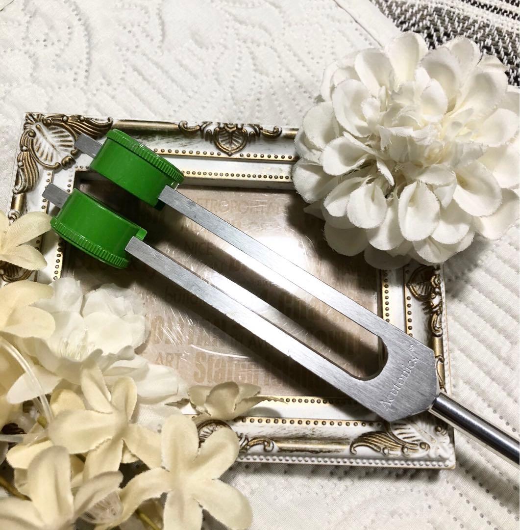 アキュトニクス　コズミックチューン　惑星音叉　キロン　ミドルヘヴィーフォーク