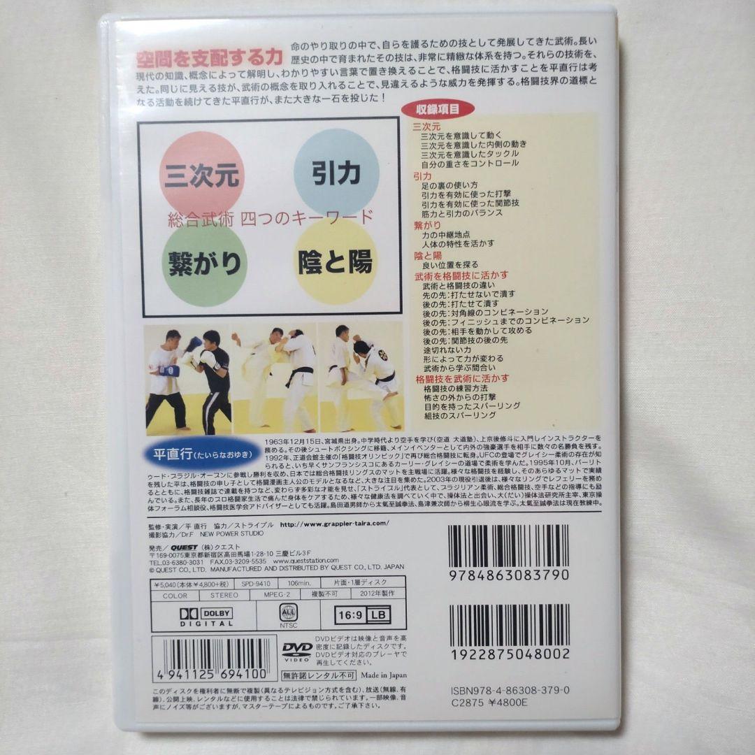 貴重❗❗DVD 平直行 総合武術入門 武術を格闘