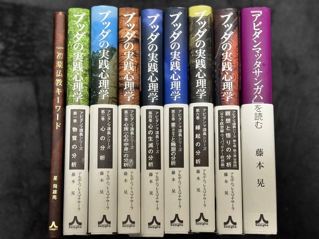 【限定希少品】ブッダの実践心理学　全８巻+初期仏教キーワード本付き