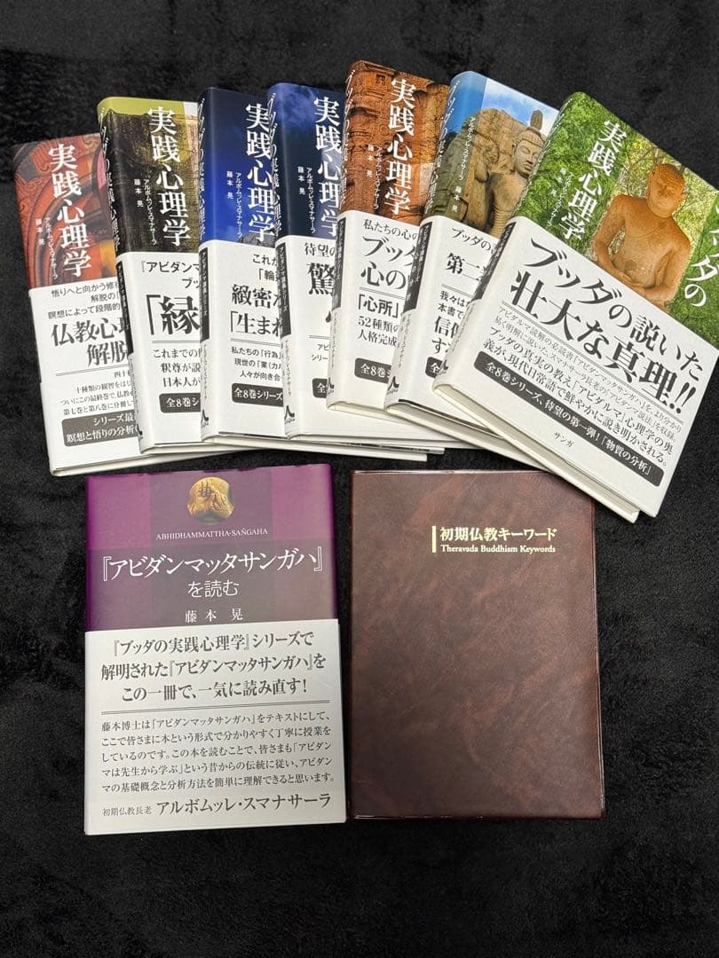 【限定希少品】ブッダの実践心理学　全８巻+初期仏教キーワード本付き