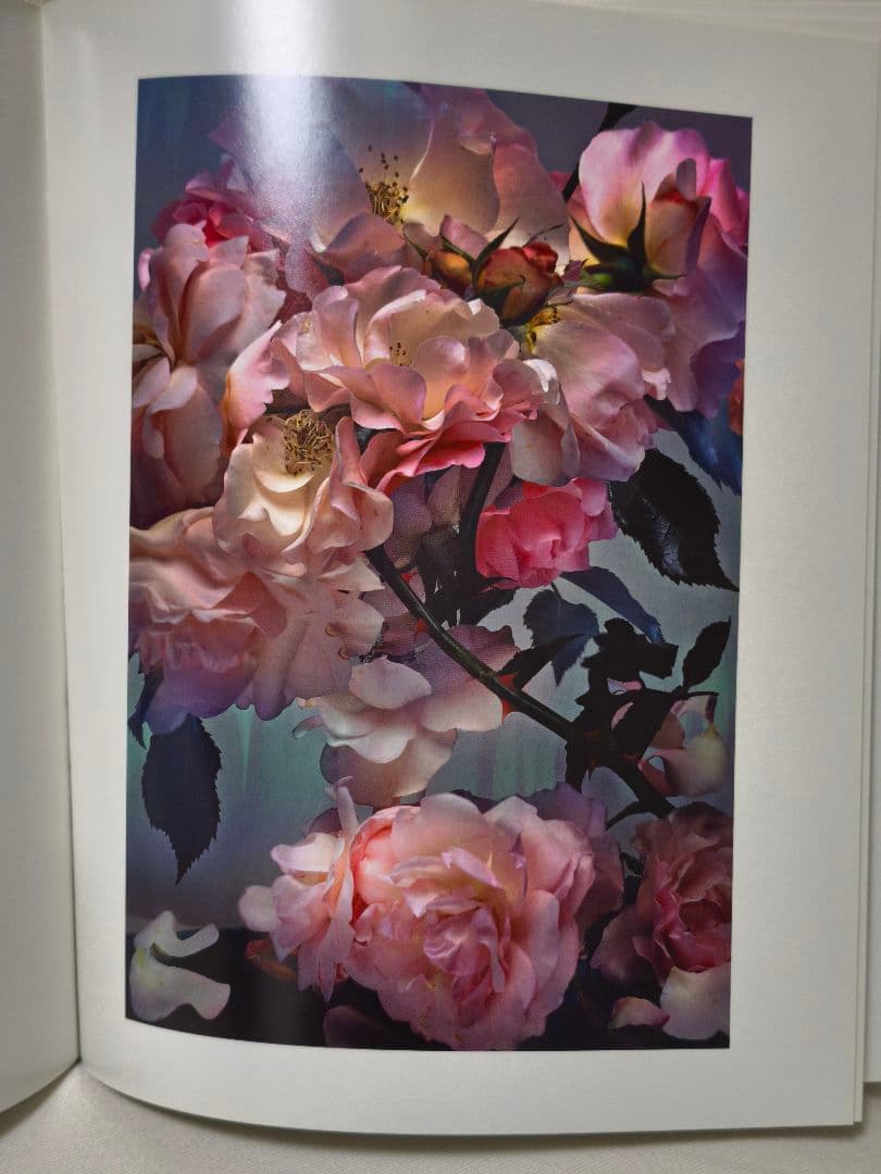 【希少】Nick Knight 洋書