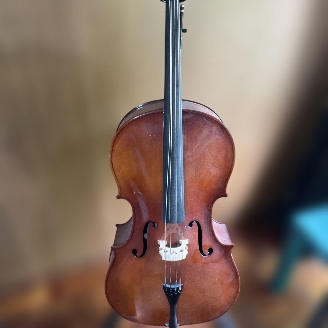 エ*い様 CARLO GIORDANO SC-100 4/4 チェロ フルサイズ