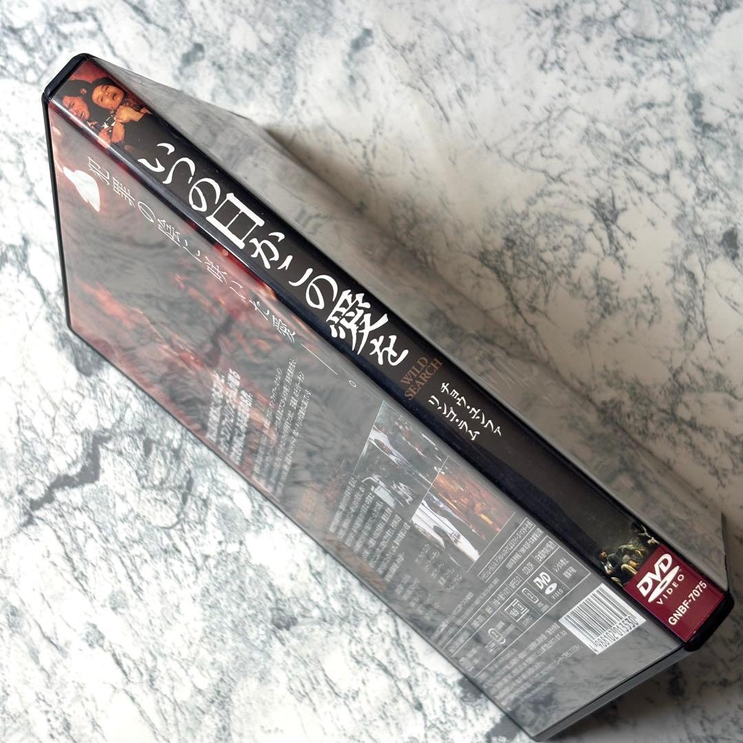 いつの日かこの愛を DVD セル版