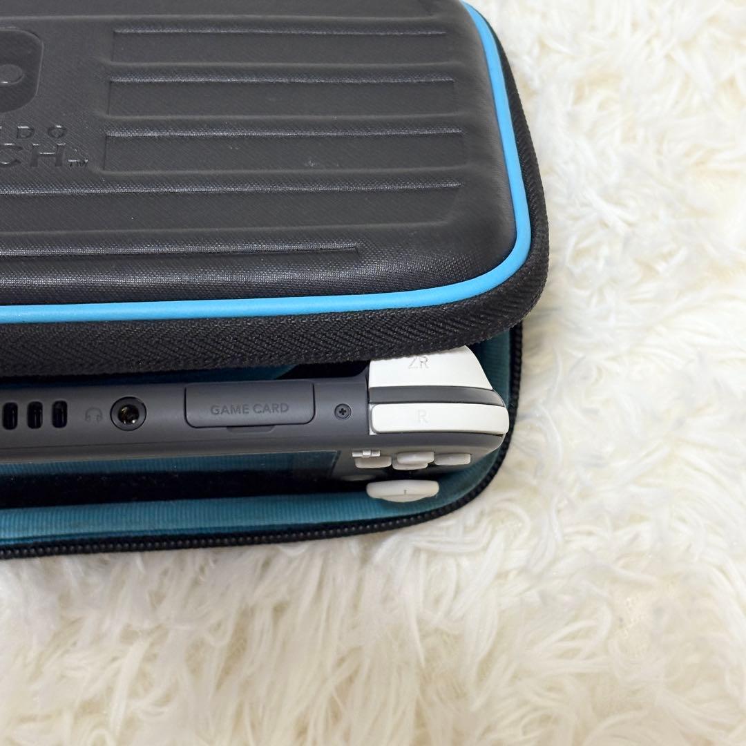 Nintendo Switch Lite グレー 本体＋ケース付き 動作確認済み