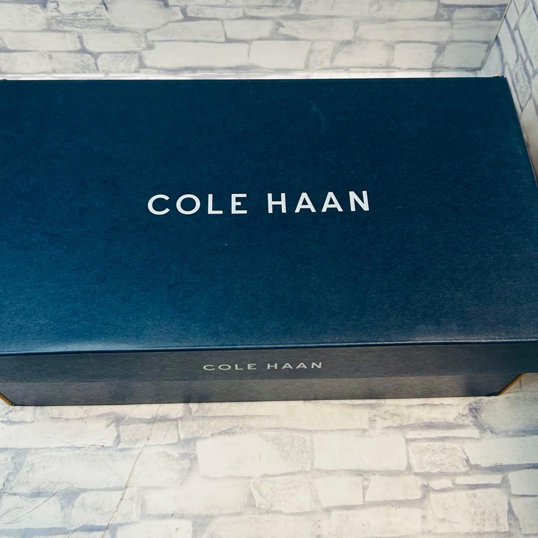 新品 Cole Haan ザ ゴートゥー プレーントゥーオックスフォード 26㎝
