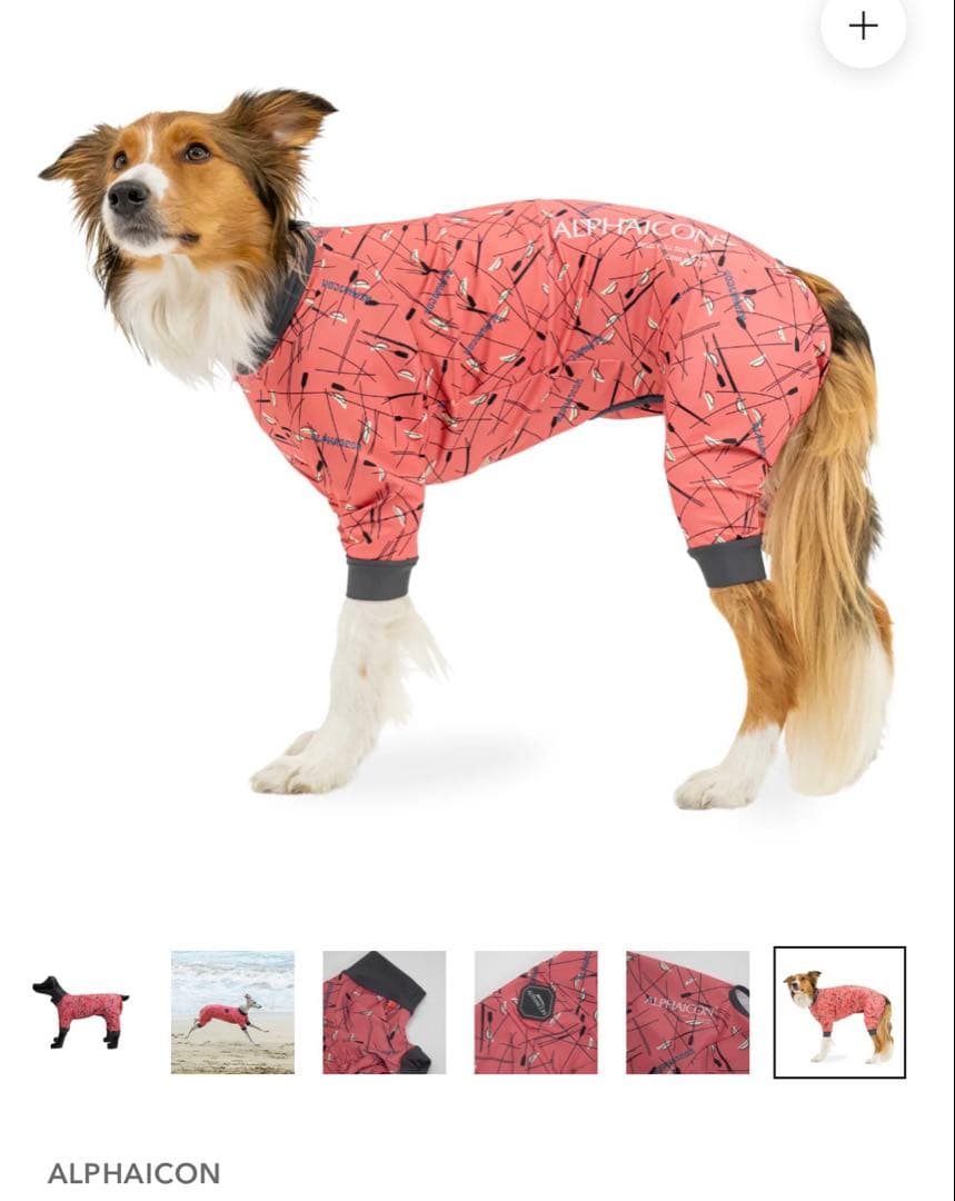 ALPHAICON FULL DOG GUARD　フルドッグガード　SUNSET