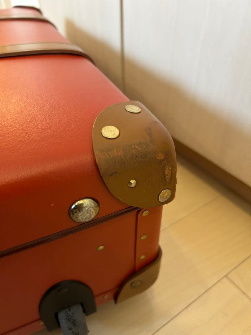 （little green ）【GLOBE-TROTTER】21インチ