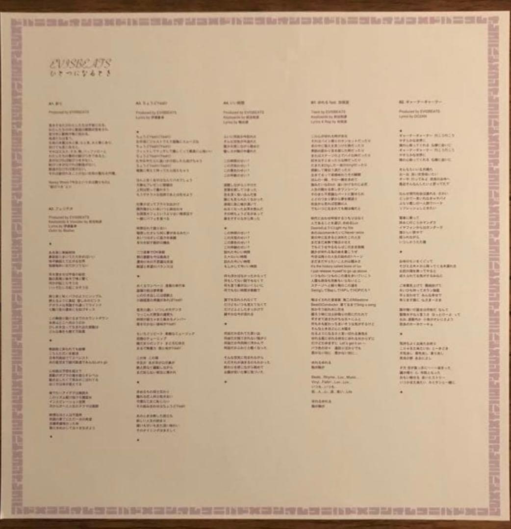 evisbeats ひとつになるとき 2LP