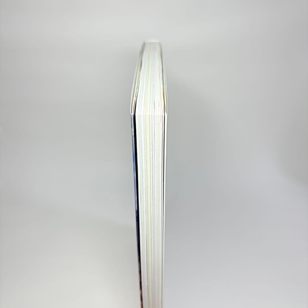 【カード無し】リザードンEX：アートコレクション