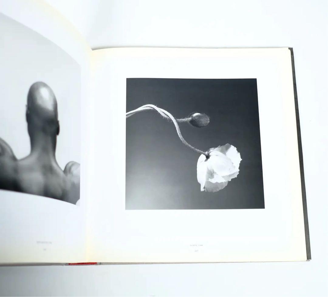 ROBERT MAPPLETHORPE 洋書　写真集　RANDOM HOUSE