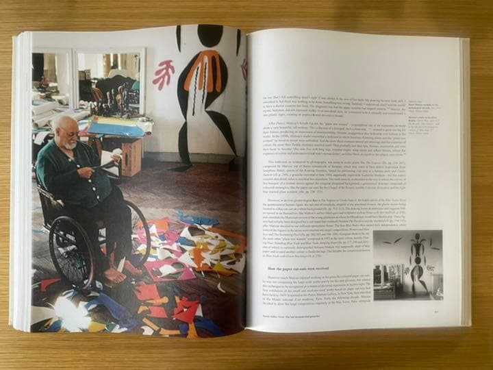 マティス　作品集　Matisse Cut-outs