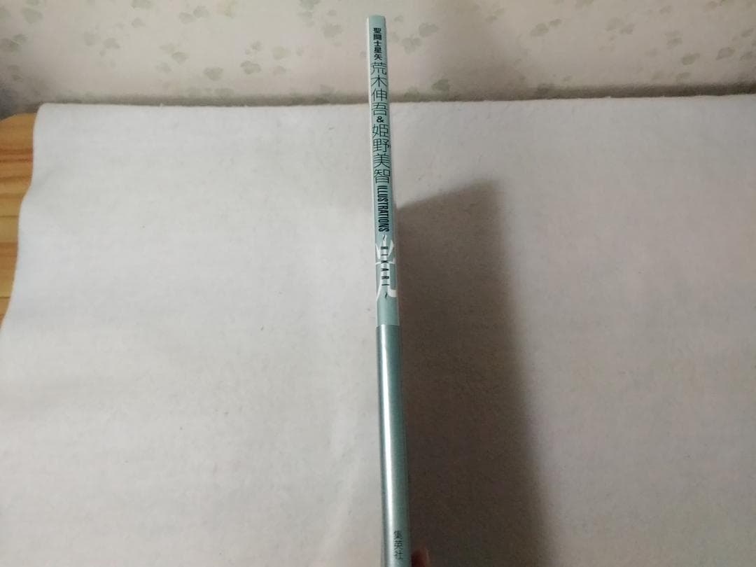 光 HIKARI 聖闘士星矢荒木伸吾&姫野美智 ILLUSTRATIONS 画集