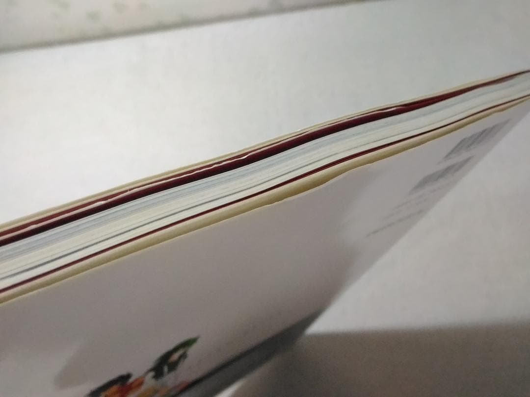 光 HIKARI 聖闘士星矢荒木伸吾&姫野美智 ILLUSTRATIONS 画集