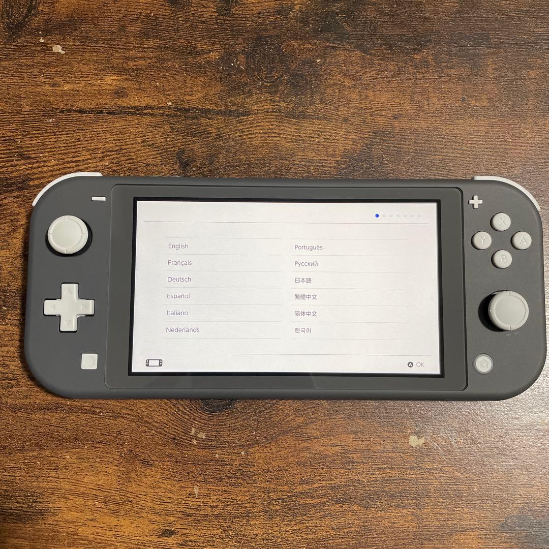 Nintendo Switch Lite グレー＋シリコンカバー(除菌消毒済み)