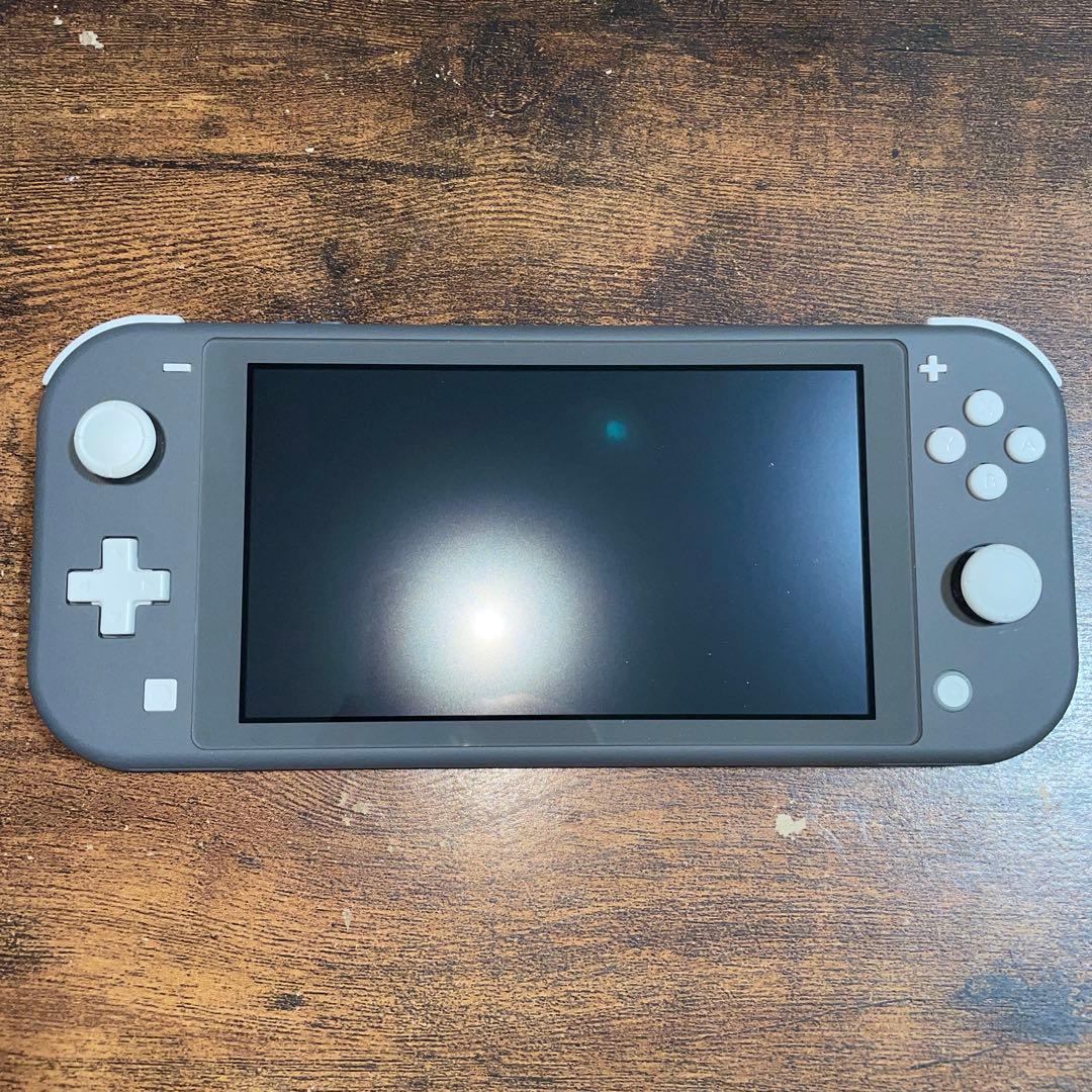 Nintendo Switch Lite グレー＋シリコンカバー(除菌消毒済み)
