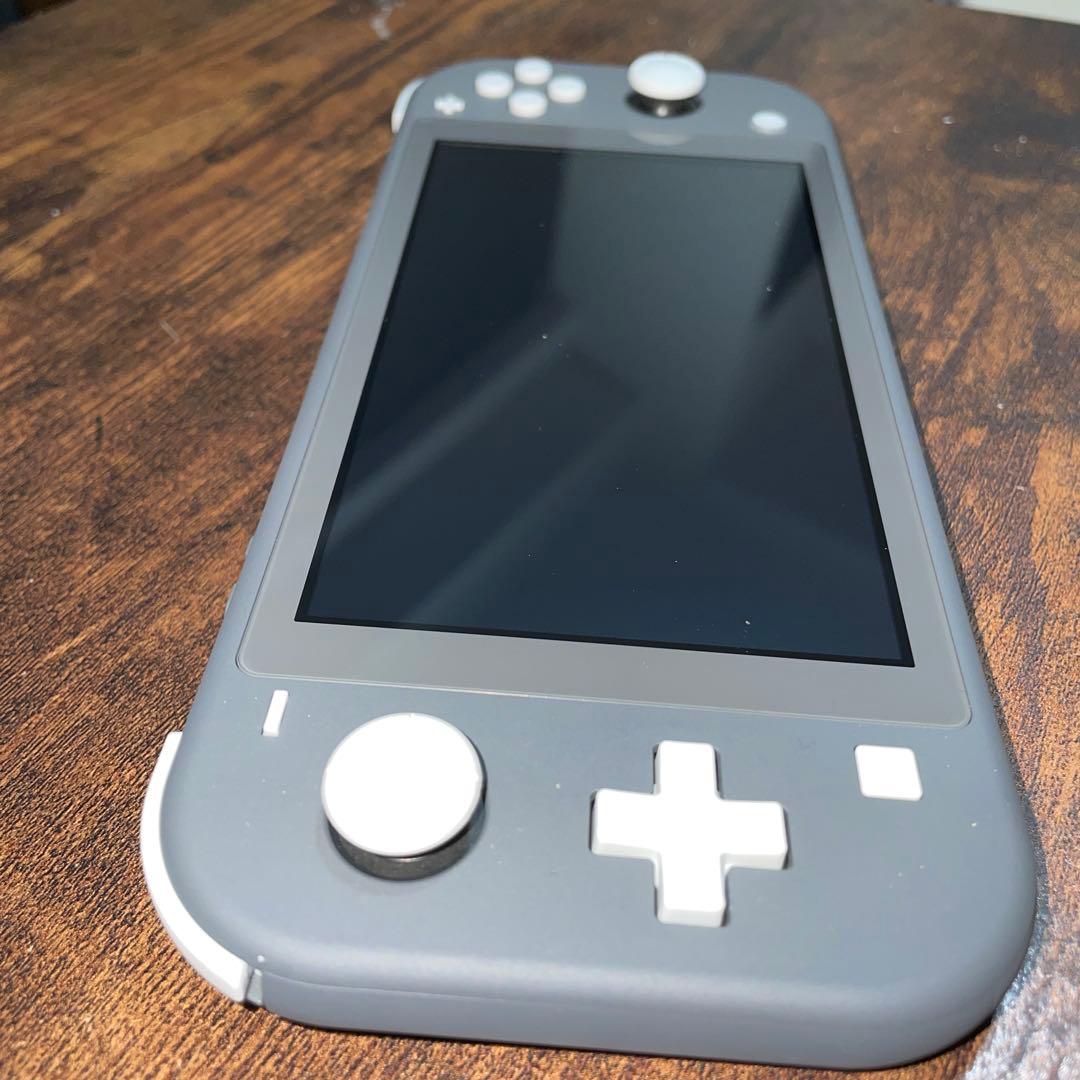 Nintendo Switch Lite グレー＋シリコンカバー(除菌消毒済み)