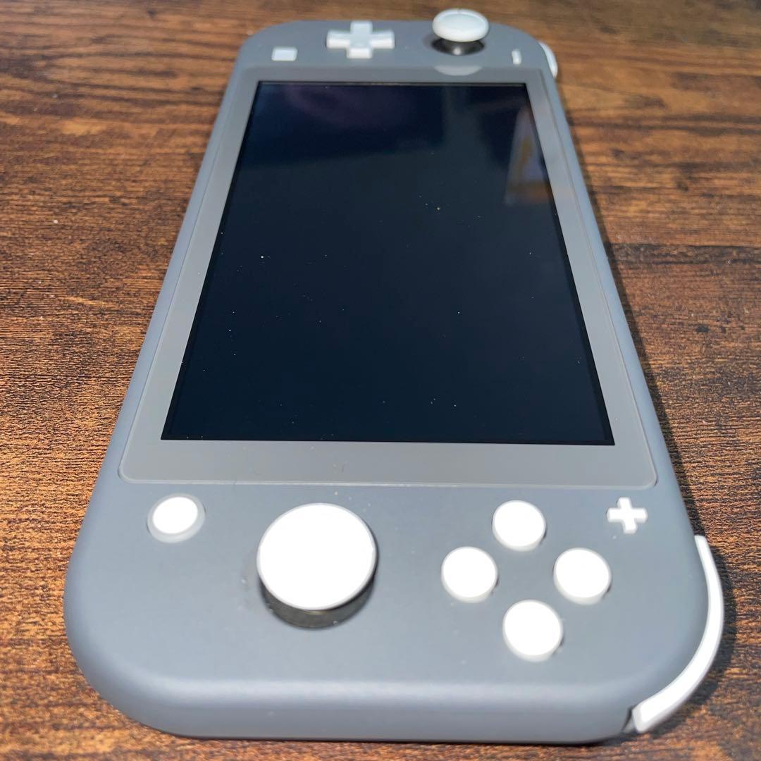 Nintendo Switch Lite グレー＋シリコンカバー(除菌消毒済み)