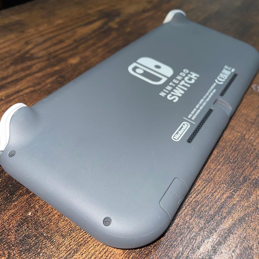 Nintendo Switch Lite グレー＋シリコンカバー(除菌消毒済み)