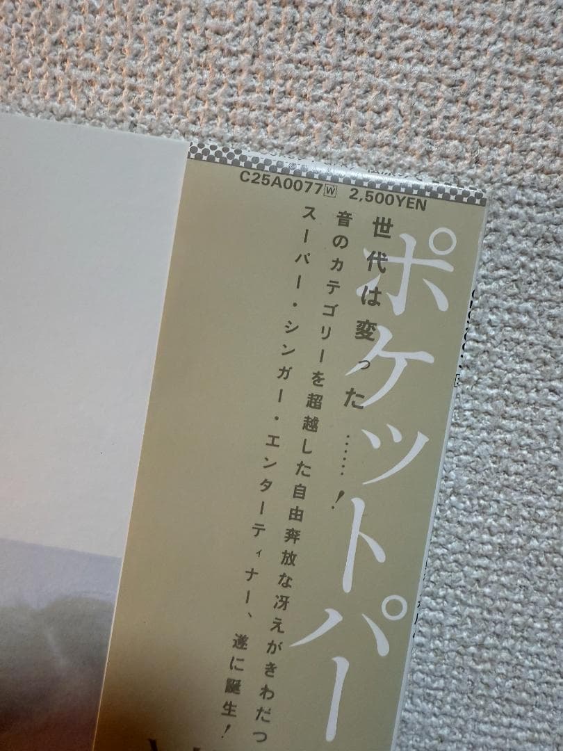 美品　松原みき　ポケットパーク LP 真夜中のドア　ポスター付