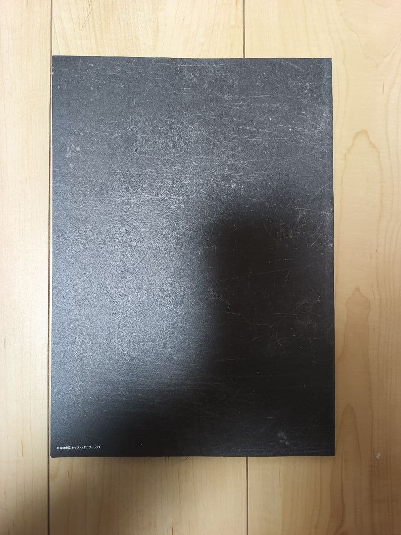 VIRGIN PUNK ヴァージン・パンク　劇場パンフレット