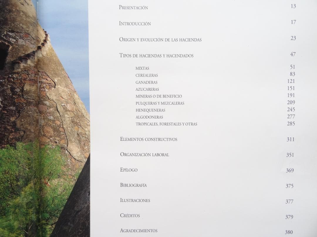 洋書◆メキシコの遺跡写真集 本 風景 景色 建築