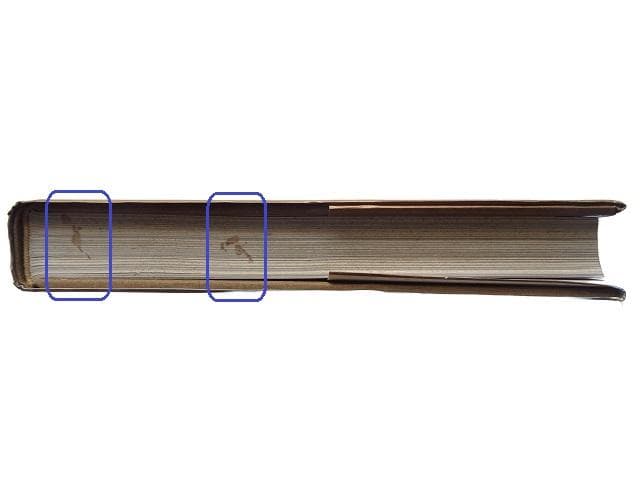 洋書◆メキシコの遺跡写真集 本 風景 景色 建築