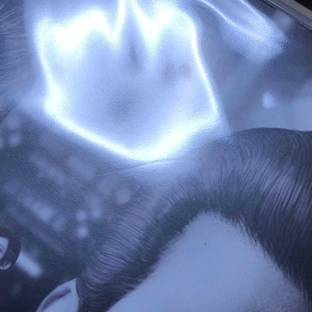 龍が如く 極 Yakuza Kiwami switch ニンテンドースイッチ