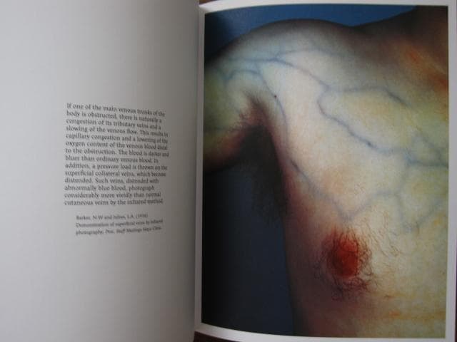 アート・デザイン・音楽 The Unseen: An Atlas of Infrared Plates