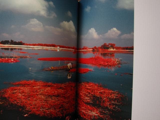 アート・デザイン・音楽 The Unseen: An Atlas of Infrared Plates