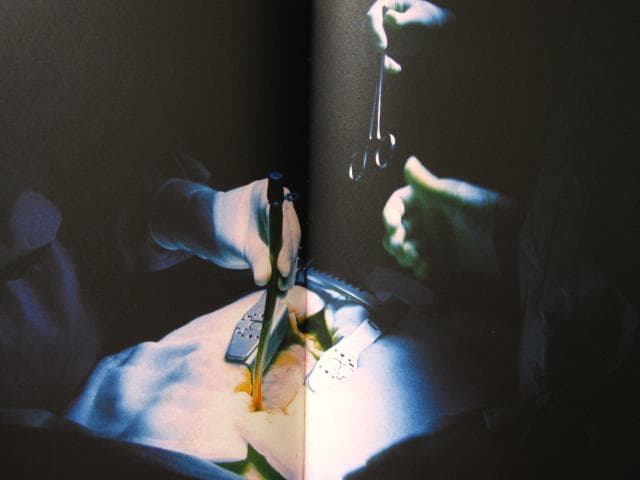 アート・デザイン・音楽 The Unseen: An Atlas of Infrared Plates