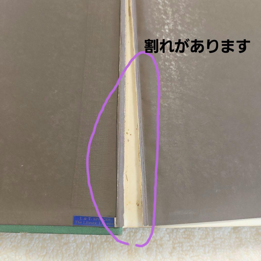 植物図鑑　洋書　ボタニカルアート　アンティーク　リトグラフ　26