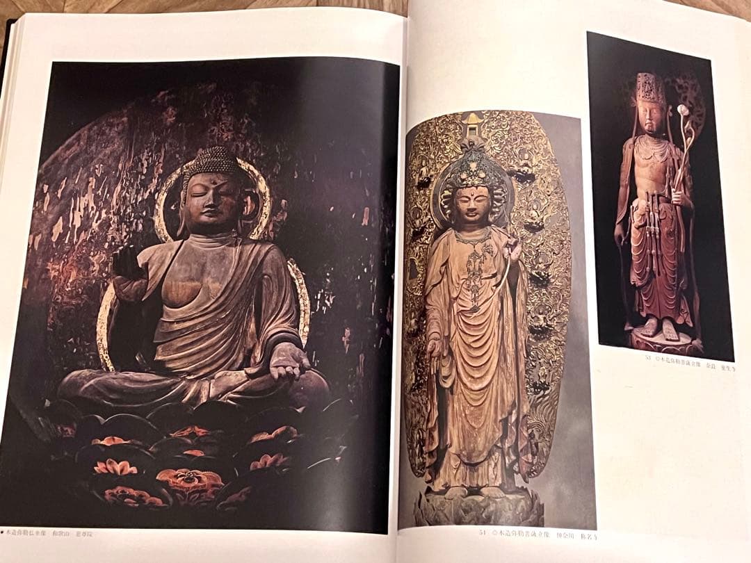 密教美術大観　第三巻　菩薩・明王