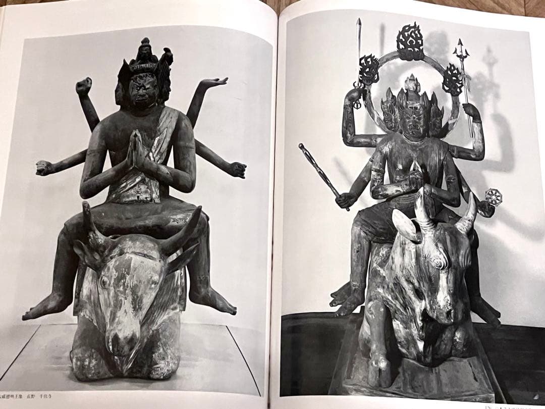 密教美術大観　第三巻　菩薩・明王