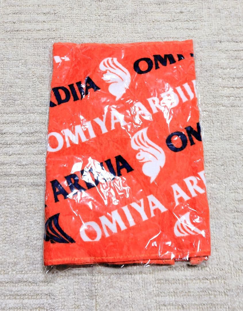 大宮アルディージャ　リュック　Tシャツ マフラー　ポンチョ　保冷バッグ　アルディ