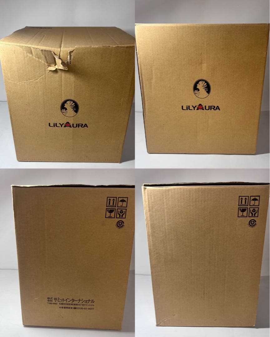 【未使用】 サミットインターナショナル リリーオーラ 循環式浄水器