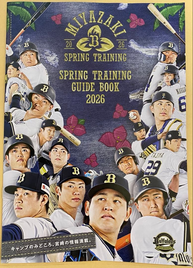 オリックス　直筆サイン色紙×5枚　バラ売り可能