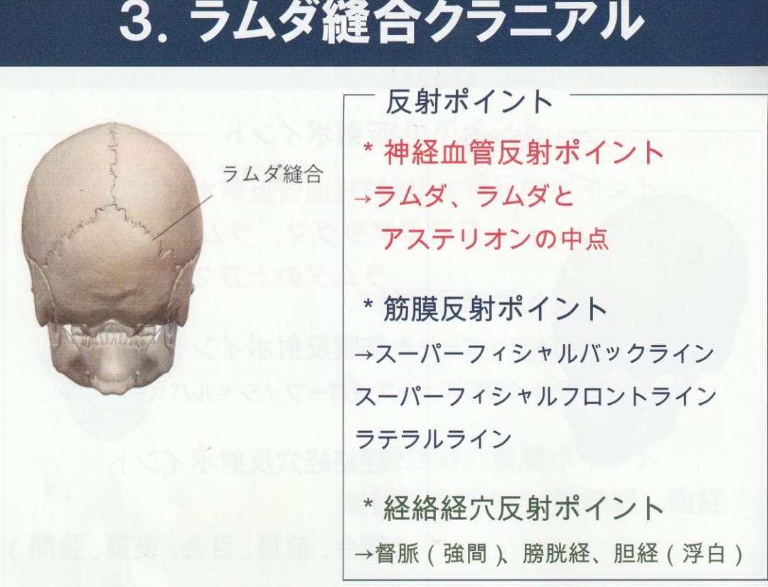 頭蓋縫合治療　縫合にアプローチして全身調整するクラニアル　Time Reset