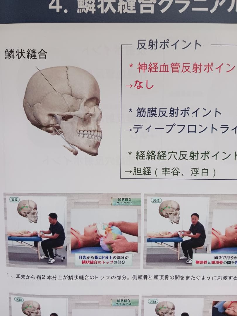 頭蓋縫合治療　縫合にアプローチして全身調整するクラニアル　Time Reset