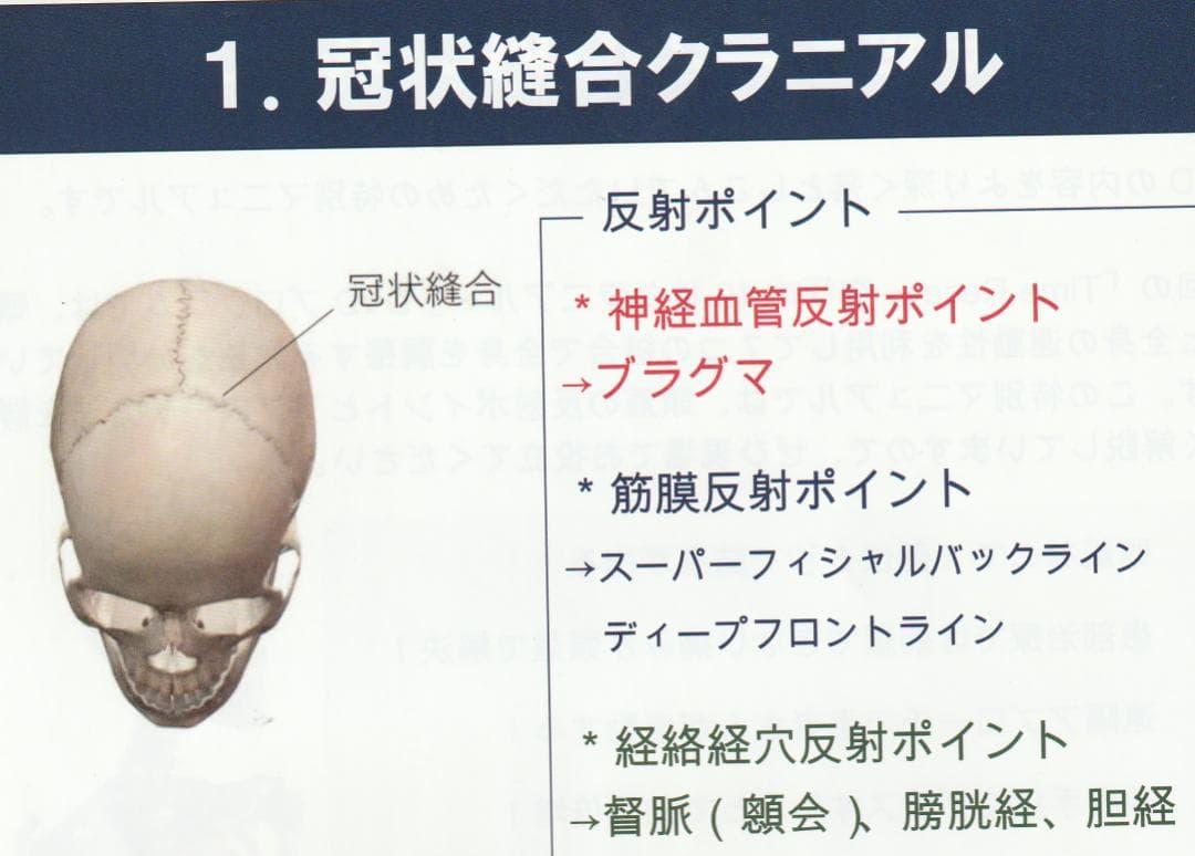 頭蓋縫合治療　縫合にアプローチして全身調整するクラニアル　Time Reset