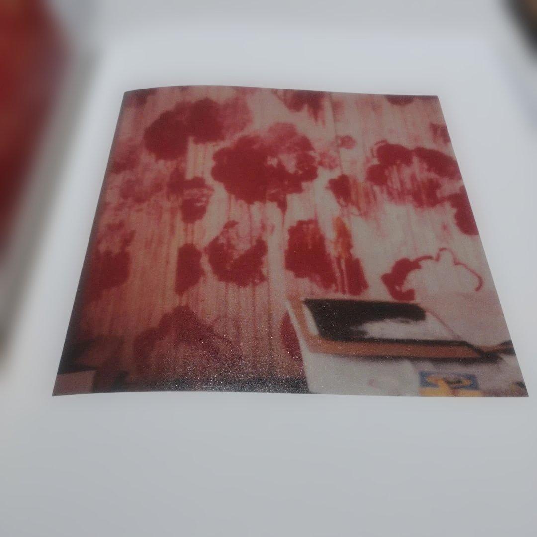 Cy Twombly Photographs　2016年初版 頁付け無し　HC