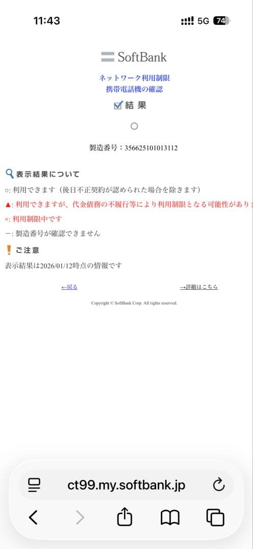 iPad Pro11インチ2世代 256GB セルラーモデル