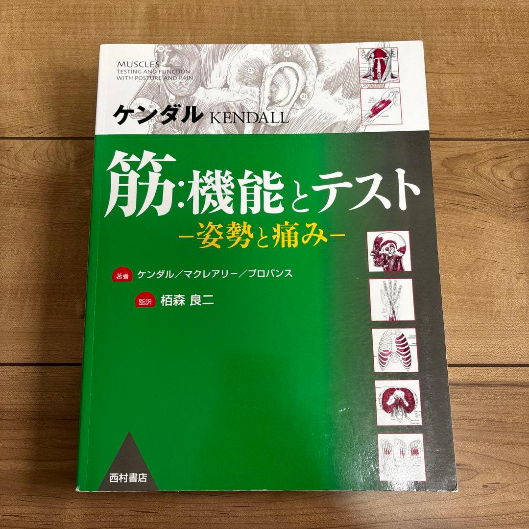 ケンダル　筋:機能とテスト : 姿勢と痛み