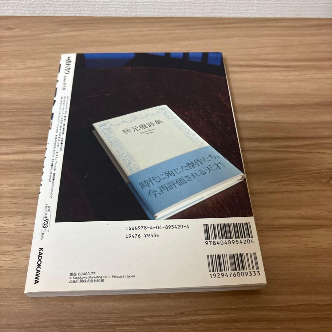 別冊カドカワ総力特集秋元康 AKB48 岩崎夏海 田原総一朗 リリー・フランキ…