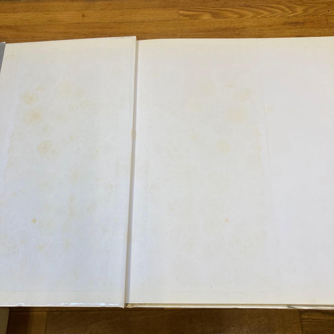 THE DARK SUMMER　Bob Carlos Clarke