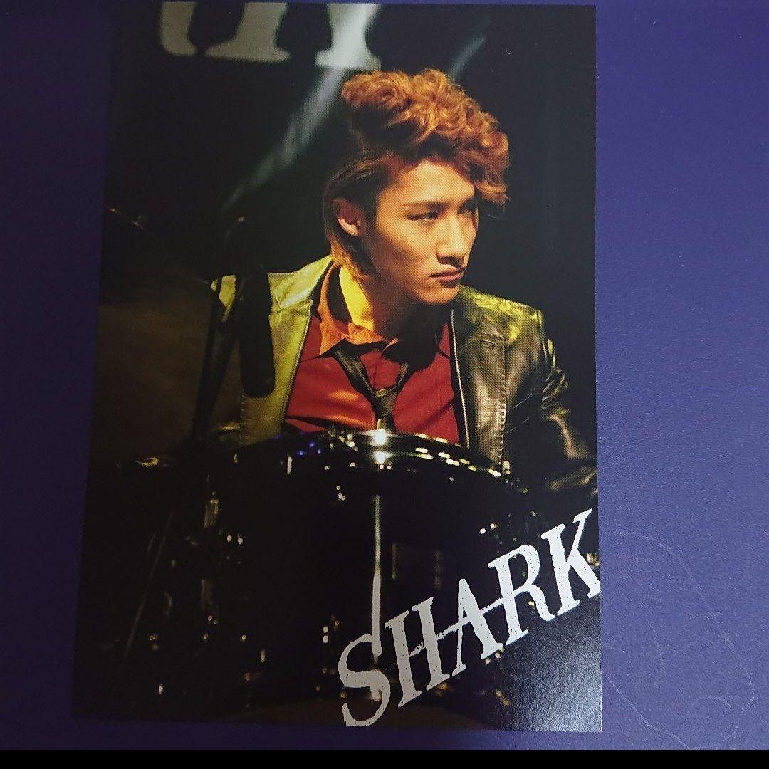 SHARK DVD-BOX 豪華版 初回限定生産 5枚組 平野紫耀