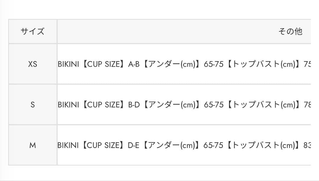 RRロゴバンドゥカップ bikini SET(新品未使用品)