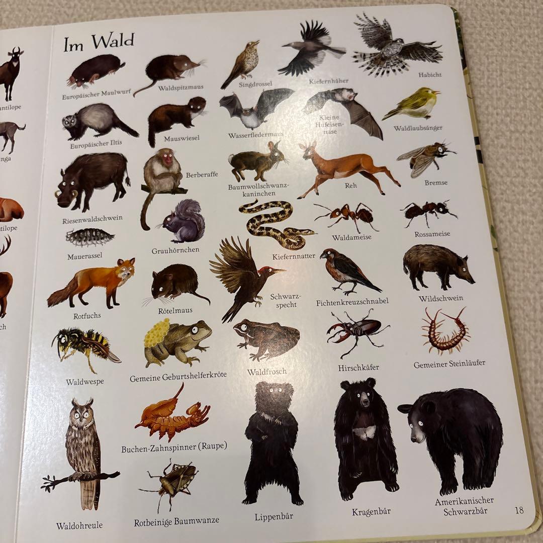 【ドイツ語】Usborne絵本3冊セット 1000 たべもの　のりもの　どうぶつ