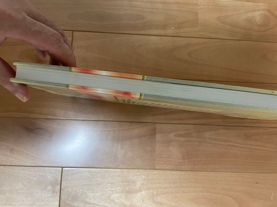 エビデンスに基づいた徒手療法 DVDなし